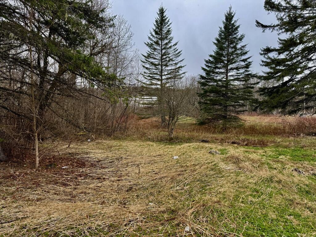 12 Elliott Road Westfield, ME 04787 - Photo 7 of 10 9E723573-BAE4-44BD-8D27-E385BE786A26_1_1