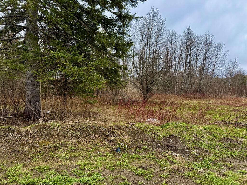 12 Elliott Road Westfield, ME 04787 - Photo 10 of 10 FF92293F-59AC-497B-AF35-E562C029BBF6_1_1