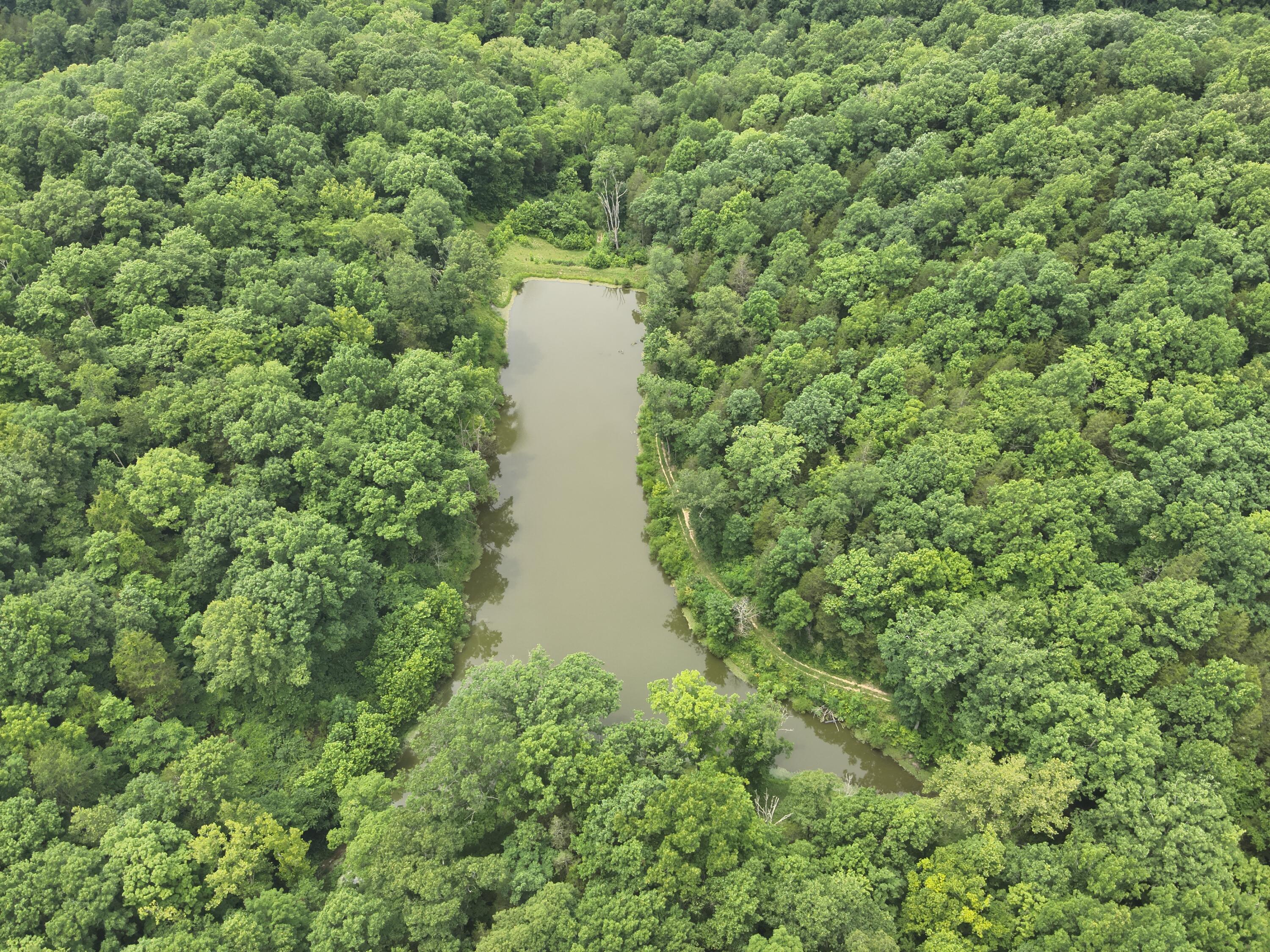 0 Kelly Ridge Road Irvine, KY 40336 - Photo 32 of 39 DJI_20260625140002_0019_V