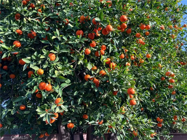 $1,025,000 | 6914 Andasol Avenue, Lake Balboa, CA 91406