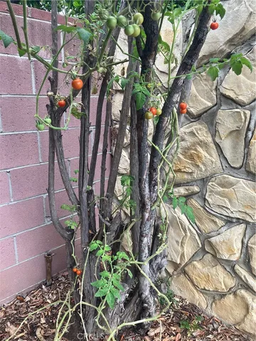 $1,025,000 | 6914 Andasol Avenue, Lake Balboa, CA 91406