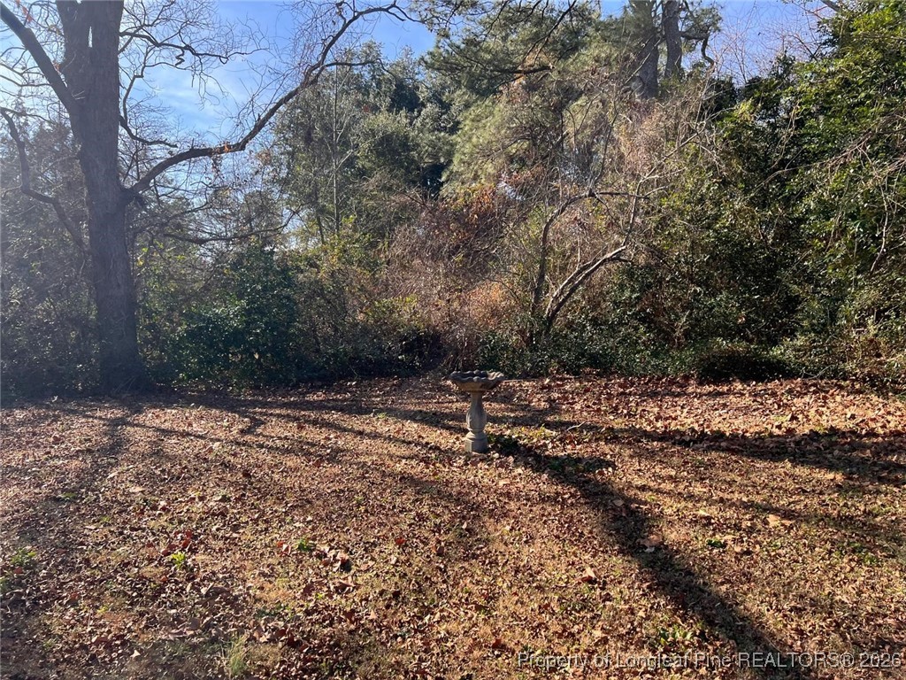 10199 Aberdeen Road Aberdeen, NC 28315 - Photo 41 of 44