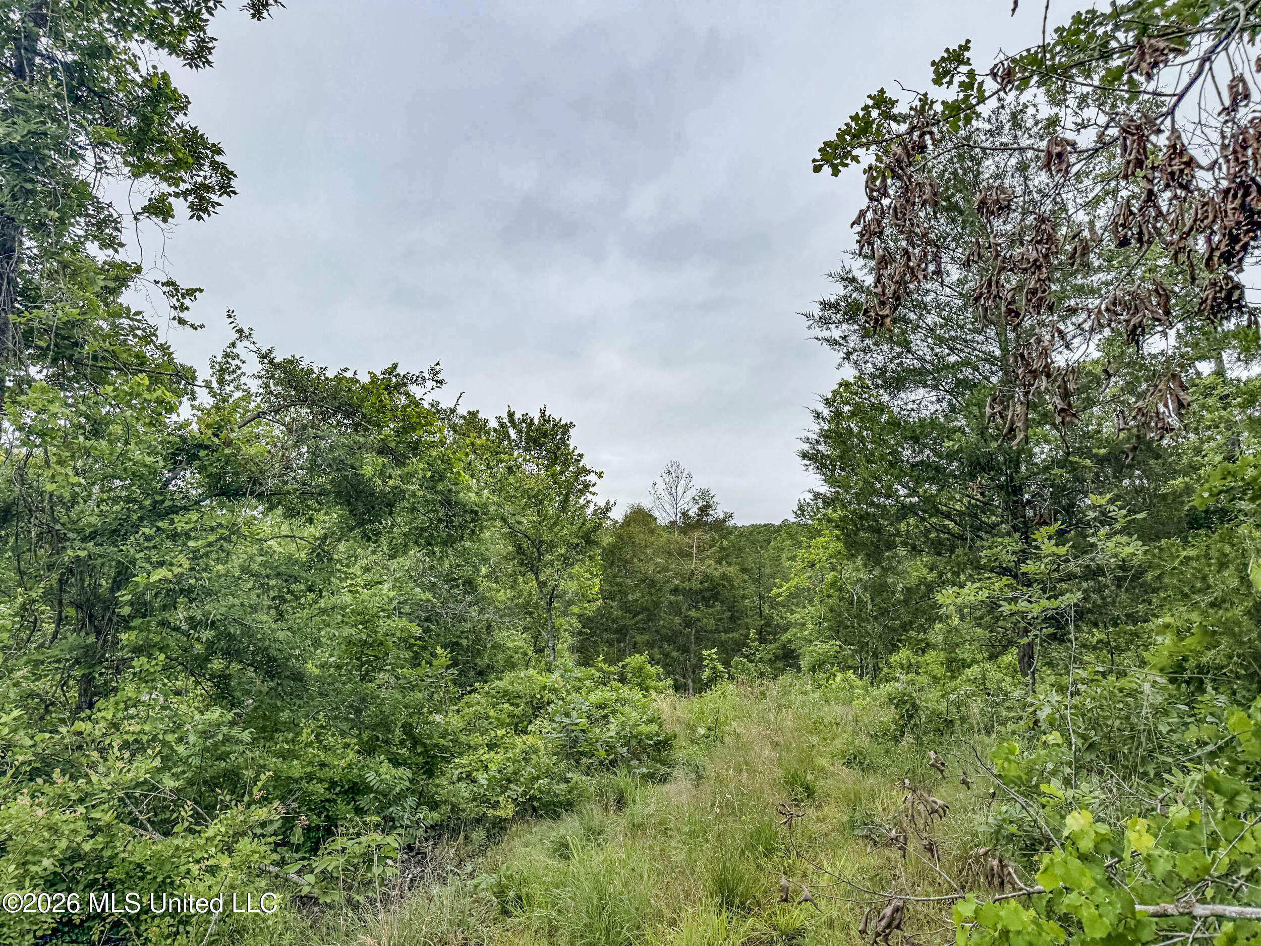 Wayne Massie Road Como, MS 38619 - Photo 81 of 184 5cdtbs7