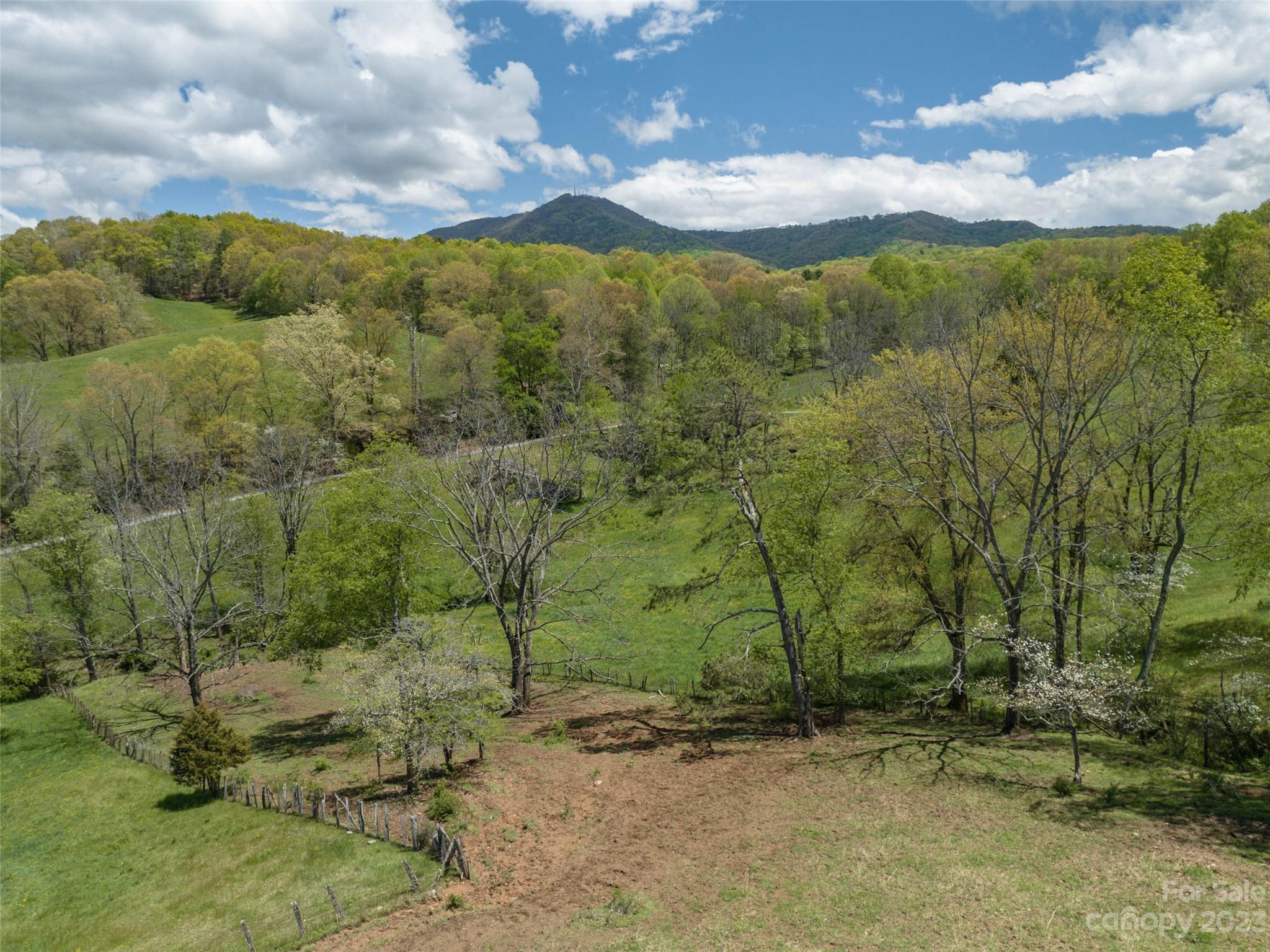4 Sunny Hill Lane Clyde, NC 28721 - Photo 13 of 27 a view of a city with lush green forest