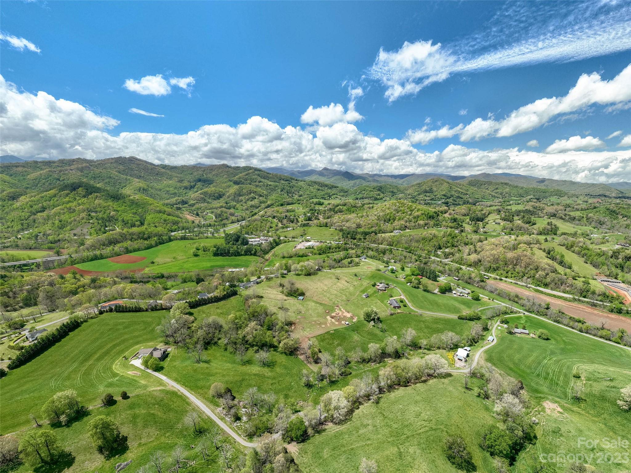 4 Sunny Hill Lane Clyde, NC 28721 - Photo 21 of 27 a view of a bunch of trees in the yard