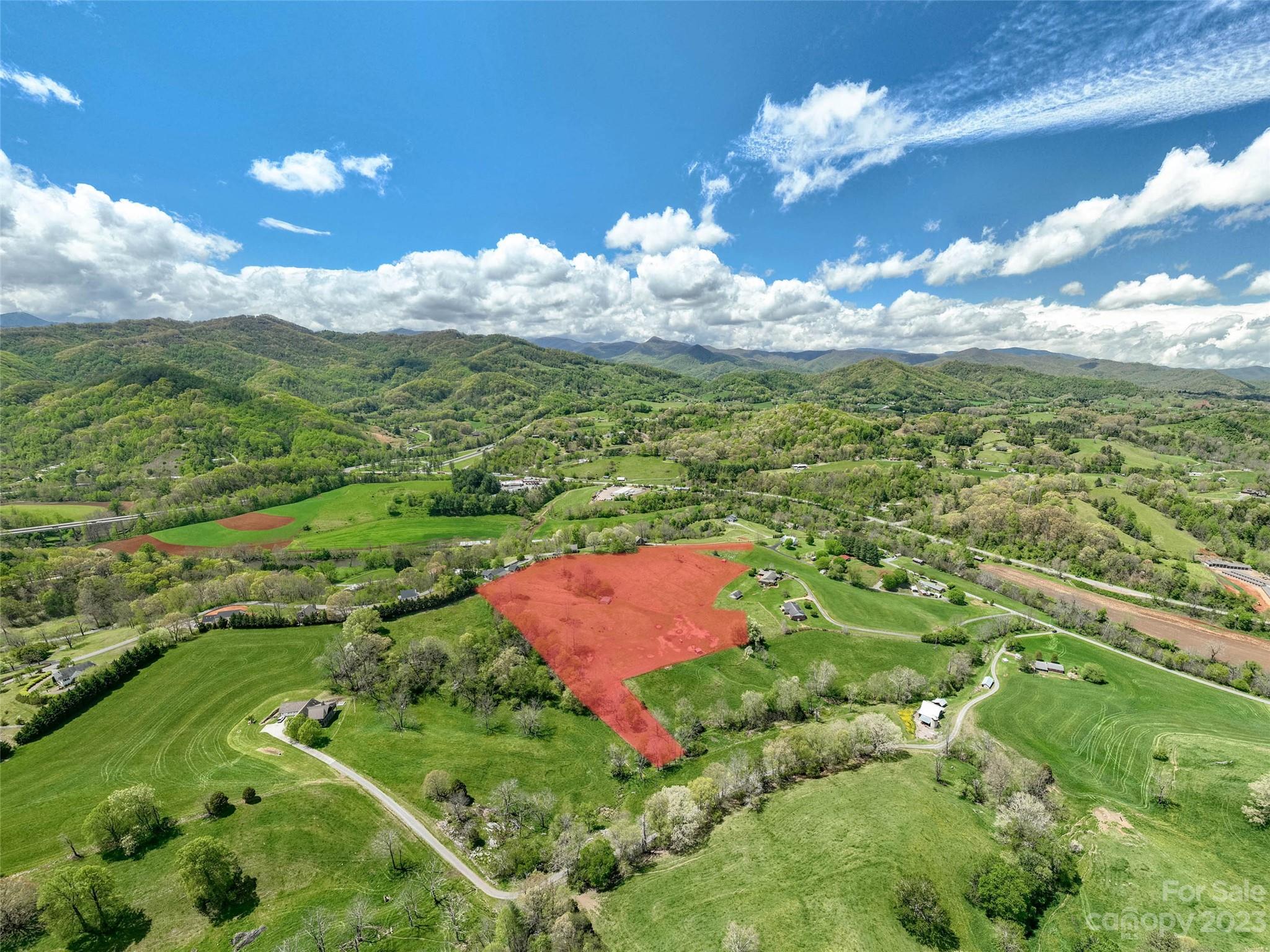 4 Sunny Hill Lane Clyde, NC 28721 - Photo 26 of 27 a view of a flower in a garden