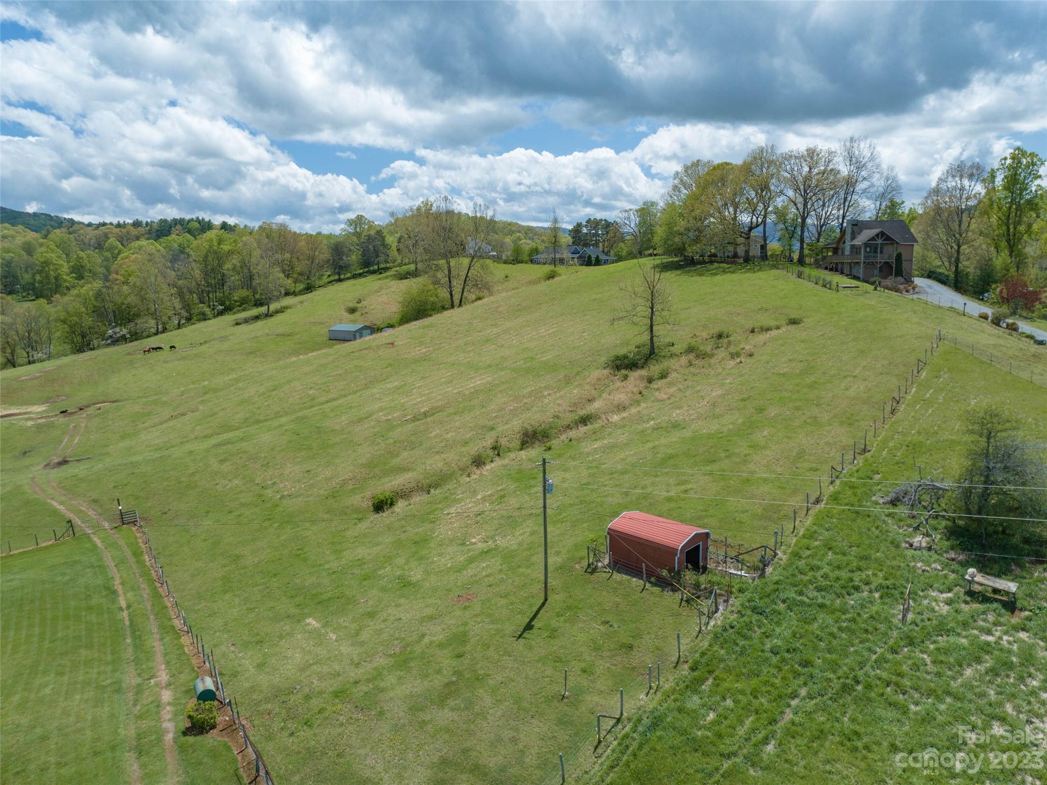 4 Sunny Hill Lane Clyde, NC 28721 - Photo 5 of 27 a view of a big yard with large trees
