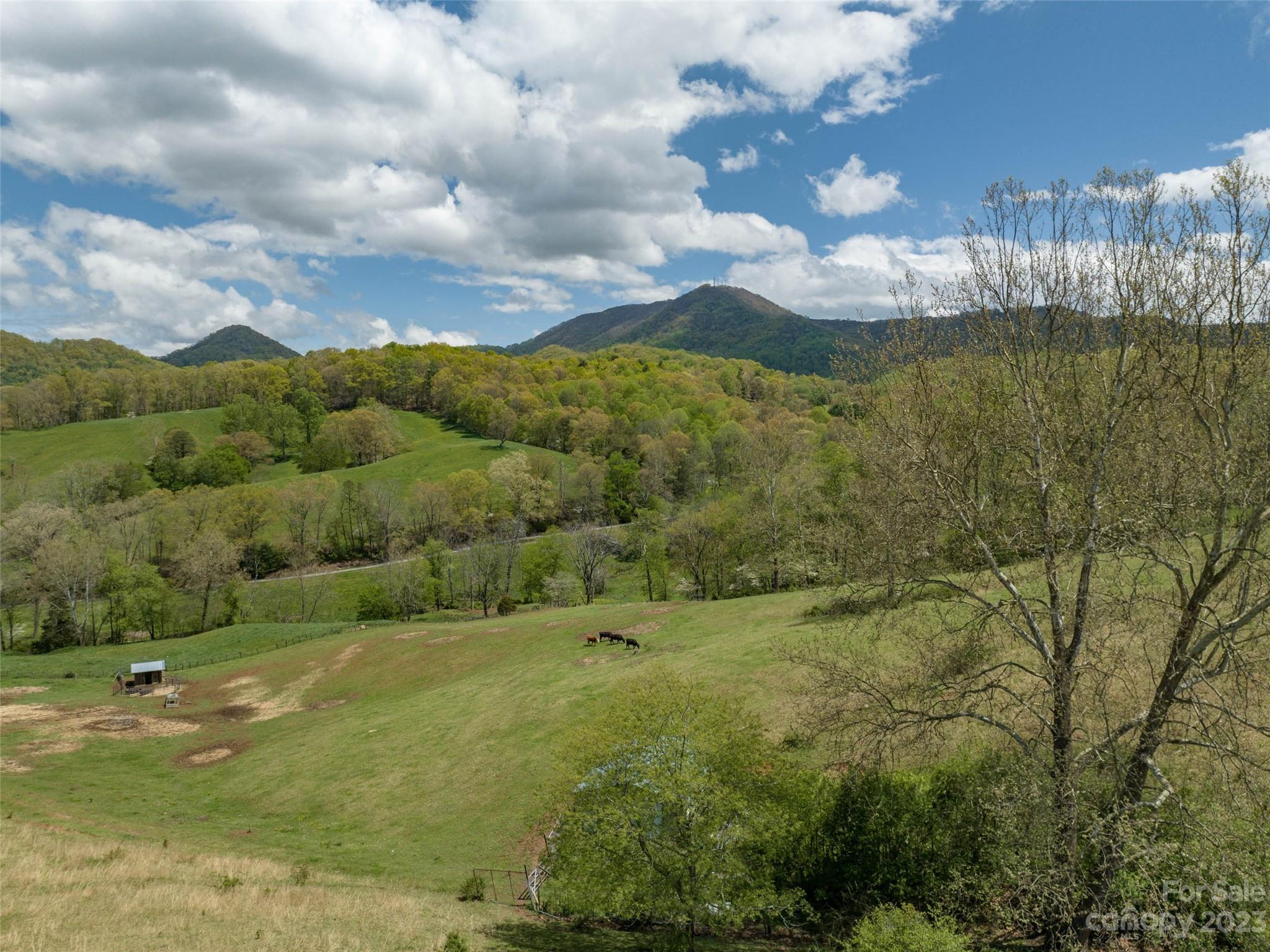 4 Sunny Hill Lane Clyde, NC 28721 - Photo 6 of 27 a view of a city with lots of residential buildings and mountain view in back