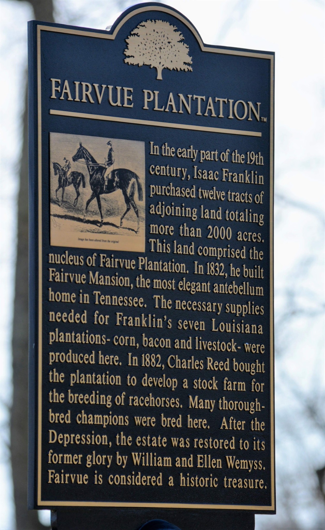 1463 Rozella Way Gallatin, TN 37066 - Photo 74 of 84