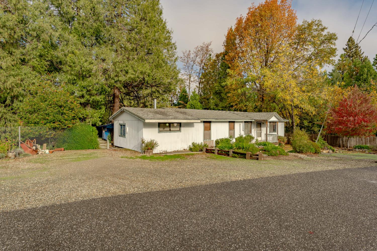 a front view of a house with a garden and tree