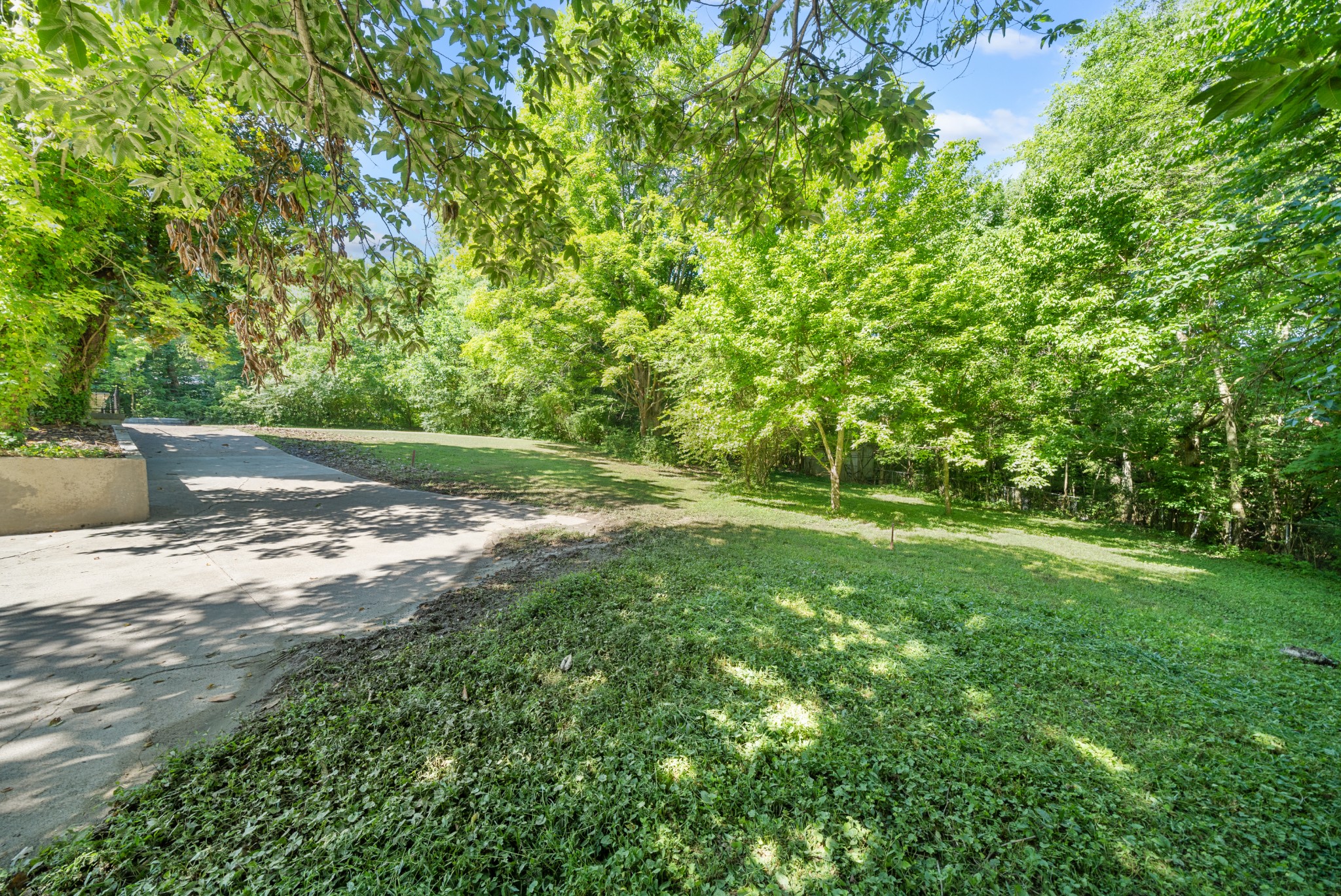 964 Gratton Road Clarksville, TN 37043 - Photo 41 of 43 a view of a yard with a tree