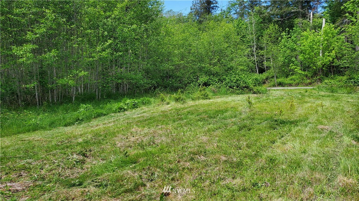 474 Lakenes Road Quilcene, WA 98376 - Photo 4 of 23