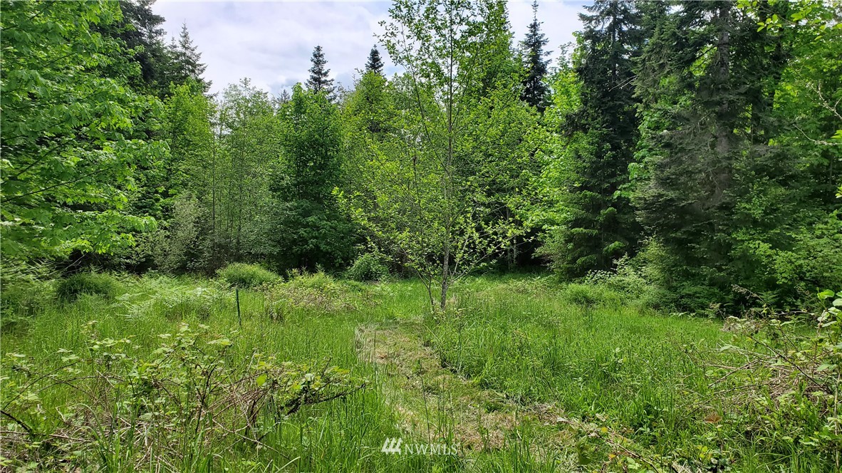 474 Lakenes Road Quilcene, WA 98376 - Photo 8 of 23