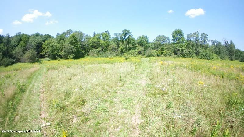Main Thornhurst Road Thornhurst, PA 18424 - Photo 11 of 94 SAM_0089
