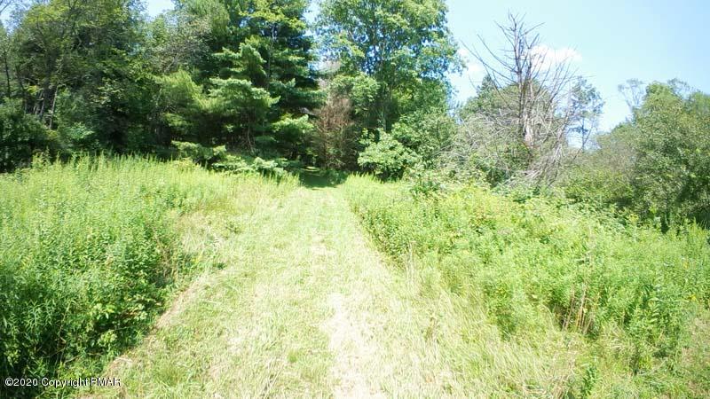 Main Thornhurst Road Thornhurst, PA 18424 - Photo 13 of 94 SAM_0091
