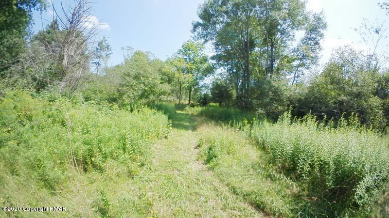 Main Thornhurst Road Thornhurst, PA 18424 - Photo 14 of 94 SAM_0092