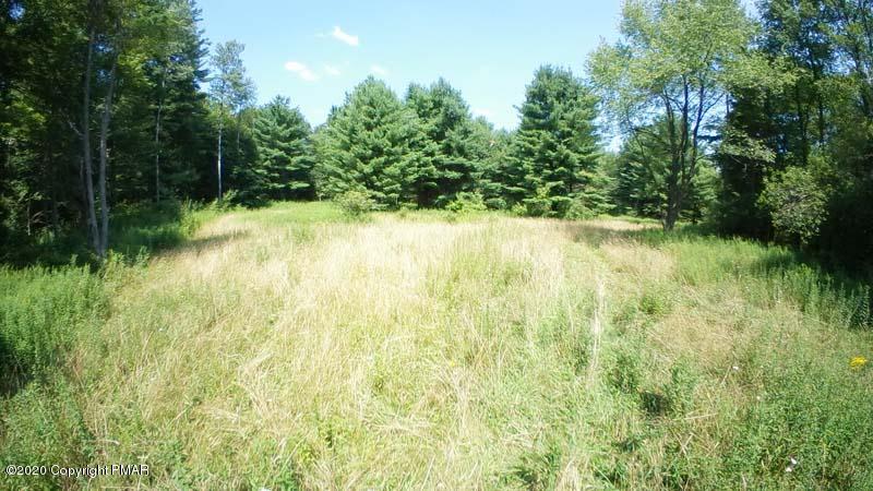 Main Thornhurst Road Thornhurst, PA 18424 - Photo 2 of 94 SAM_0155