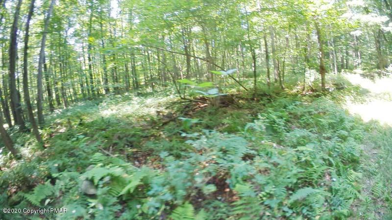 Main Thornhurst Road Thornhurst, PA 18424 - Photo 25 of 94 SAM_0104