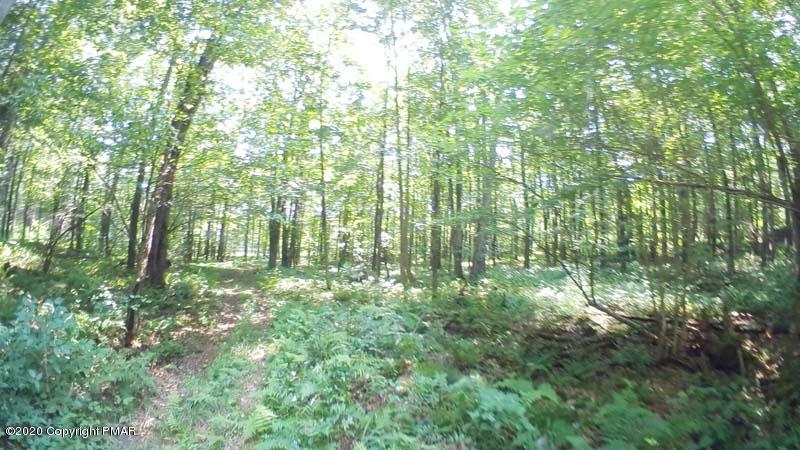 Main Thornhurst Road Thornhurst, PA 18424 - Photo 26 of 94 SAM_0105