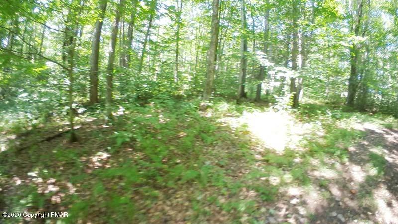 Main Thornhurst Road Thornhurst, PA 18424 - Photo 27 of 94 SAM_0106