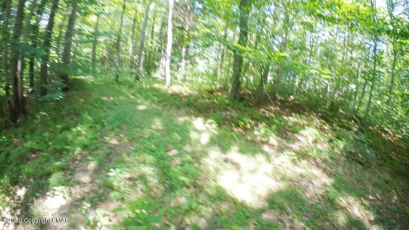 Main Thornhurst Road Thornhurst, PA 18424 - Photo 28 of 94 SAM_0107