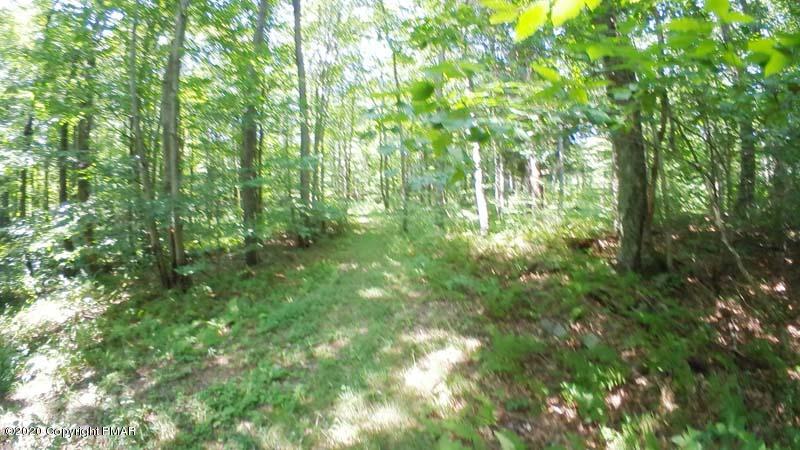 Main Thornhurst Road Thornhurst, PA 18424 - Photo 29 of 94 SAM_0108