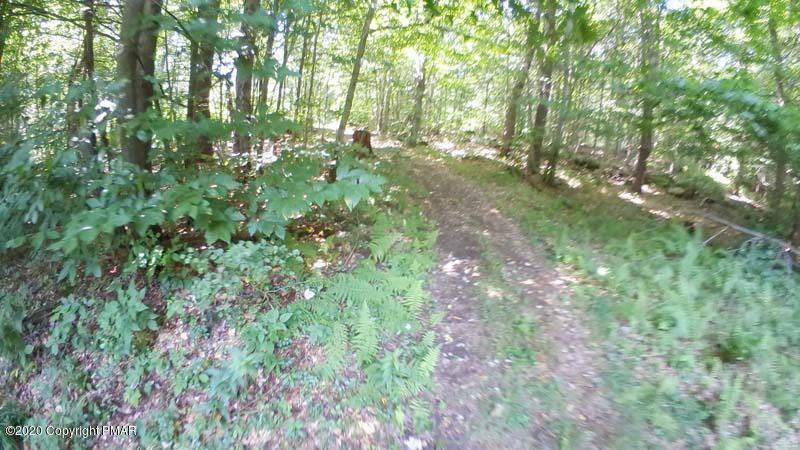 Main Thornhurst Road Thornhurst, PA 18424 - Photo 52 of 94 SAM_0133