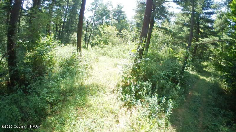 Main Thornhurst Road Thornhurst, PA 18424 - Photo 56 of 94 SAM_0137