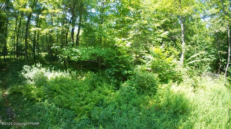 Main Thornhurst Road Thornhurst, PA 18424 - Photo 62 of 94 SAM_0143
