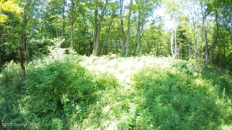 Main Thornhurst Road Thornhurst, PA 18424 - Photo 63 of 94 SAM_0144