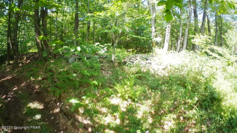 Main Thornhurst Road Thornhurst, PA 18424 - Photo 65 of 94 SAM_0146
