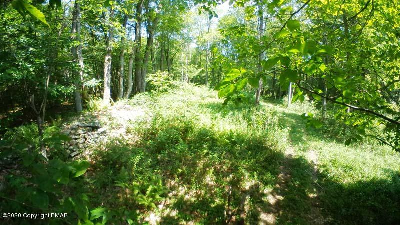 Main Thornhurst Road Thornhurst, PA 18424 - Photo 67 of 94 SAM_0148