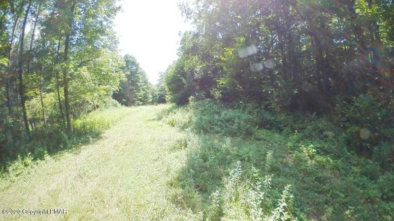 Main Thornhurst Road Thornhurst, PA 18424 - Photo 68 of 94 SAM_0149