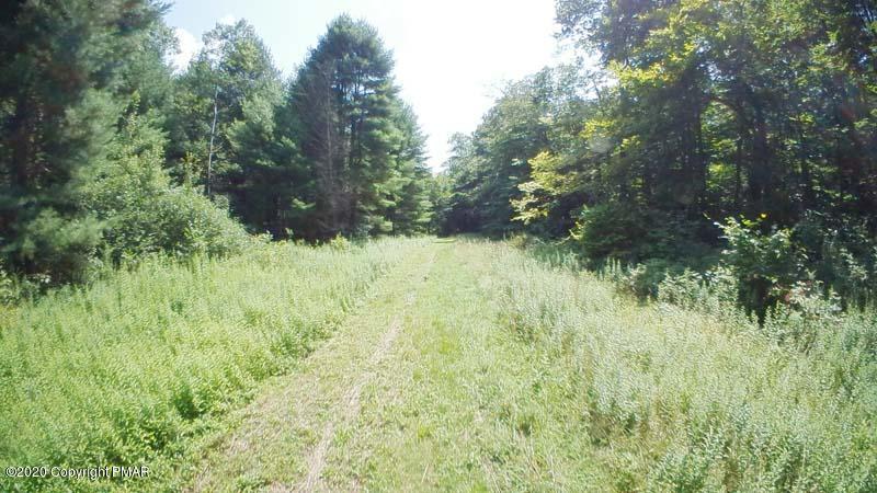 Main Thornhurst Road Thornhurst, PA 18424 - Photo 69 of 94 SAM_0150