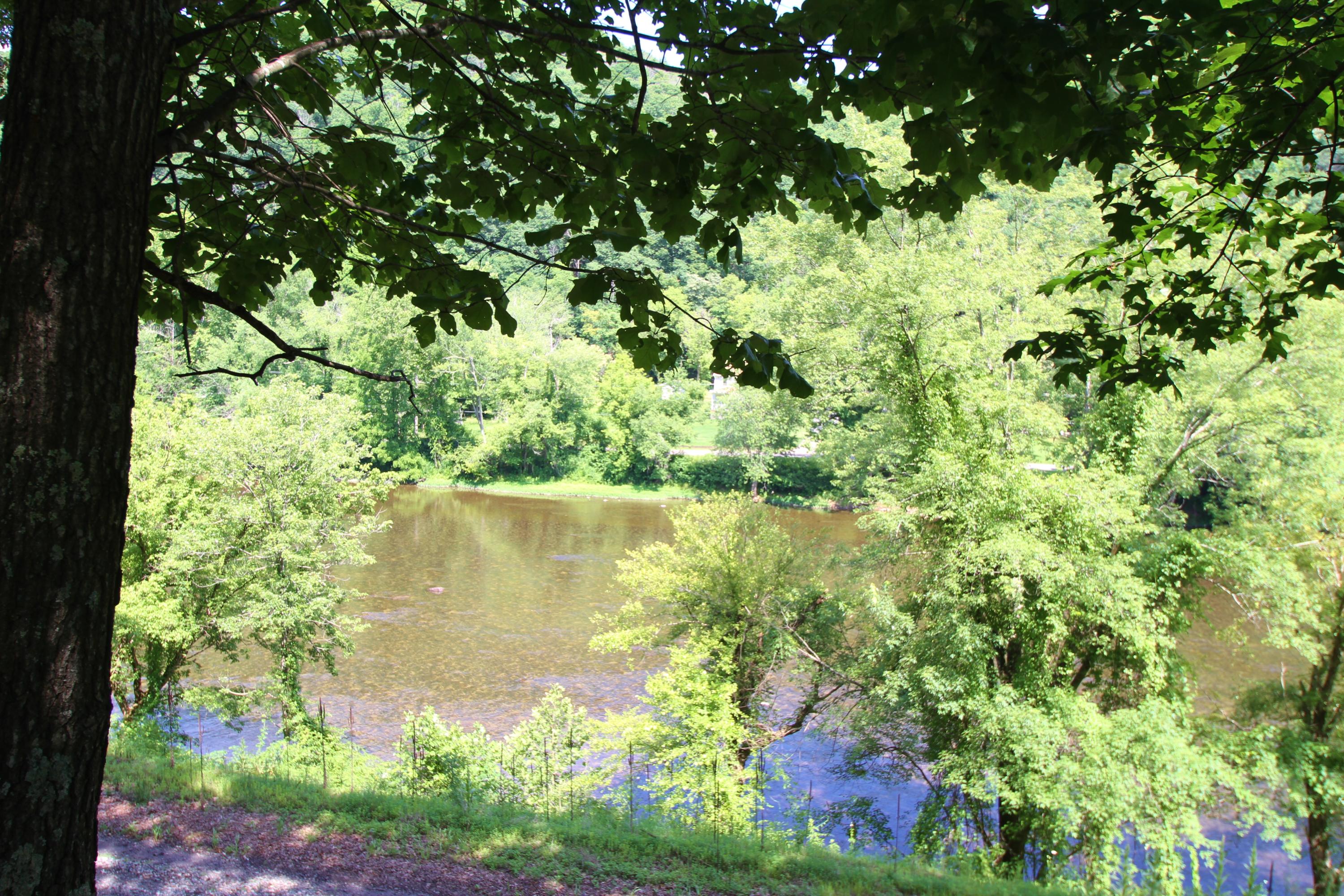953 Rockland Road Ronceverte, WV 24970 - Photo 5 of 70 Gallery Image 5