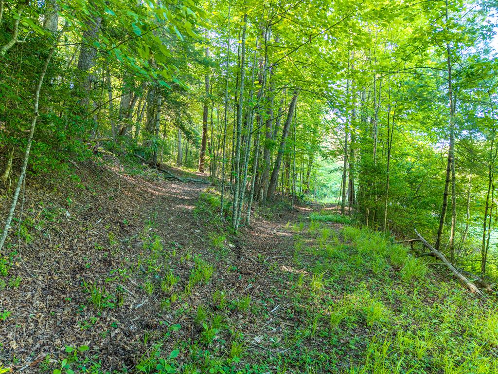 5664 Mobile Road Blue Ridge, GA 30513 - Photo 75 of 81