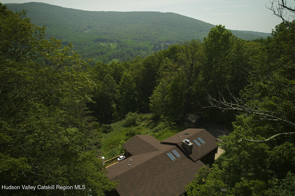 38 Woodchuck Road Roxbury, NY 12421 - Photo 2 of 33 an aerial view of a house with a yard