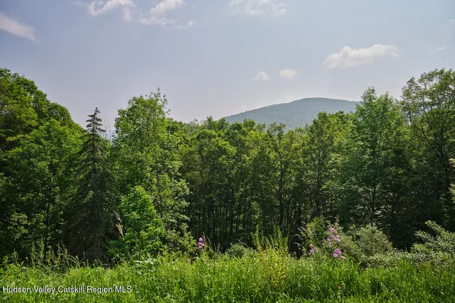 a view of a bunch of trees