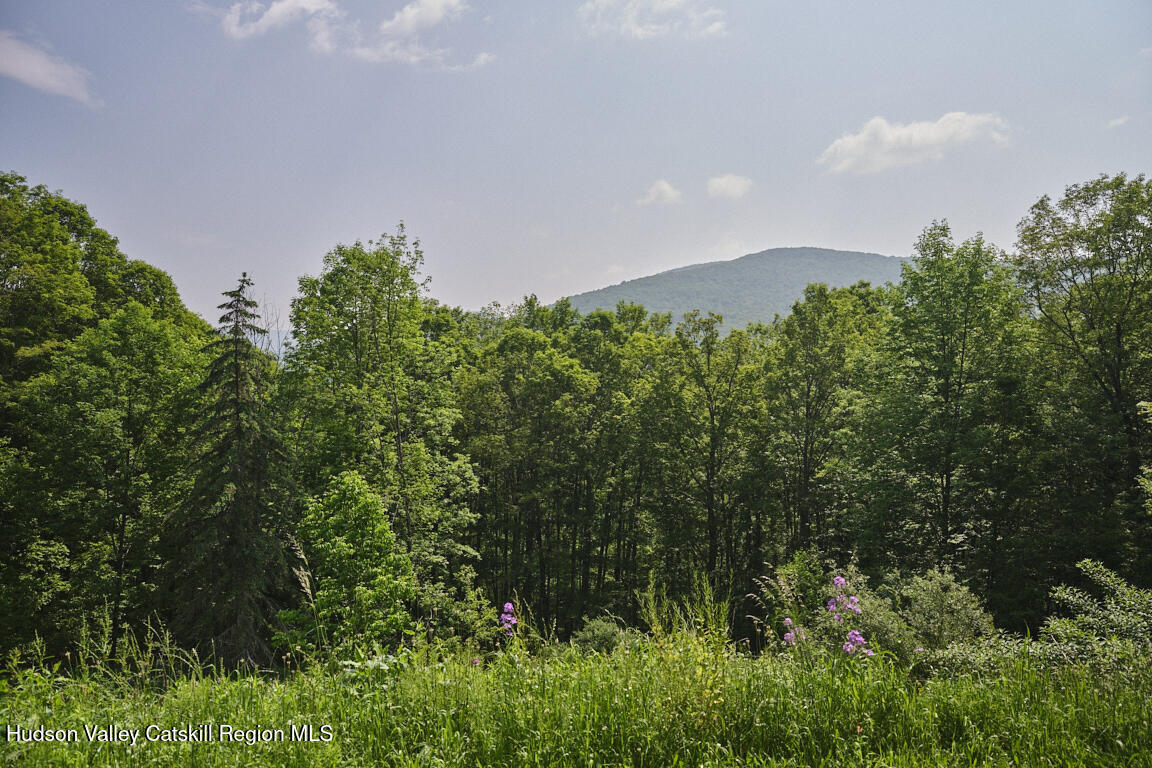 38 Woodchuck Road Roxbury, NY 12421 - Photo 25 of 33 a view of a bunch of trees