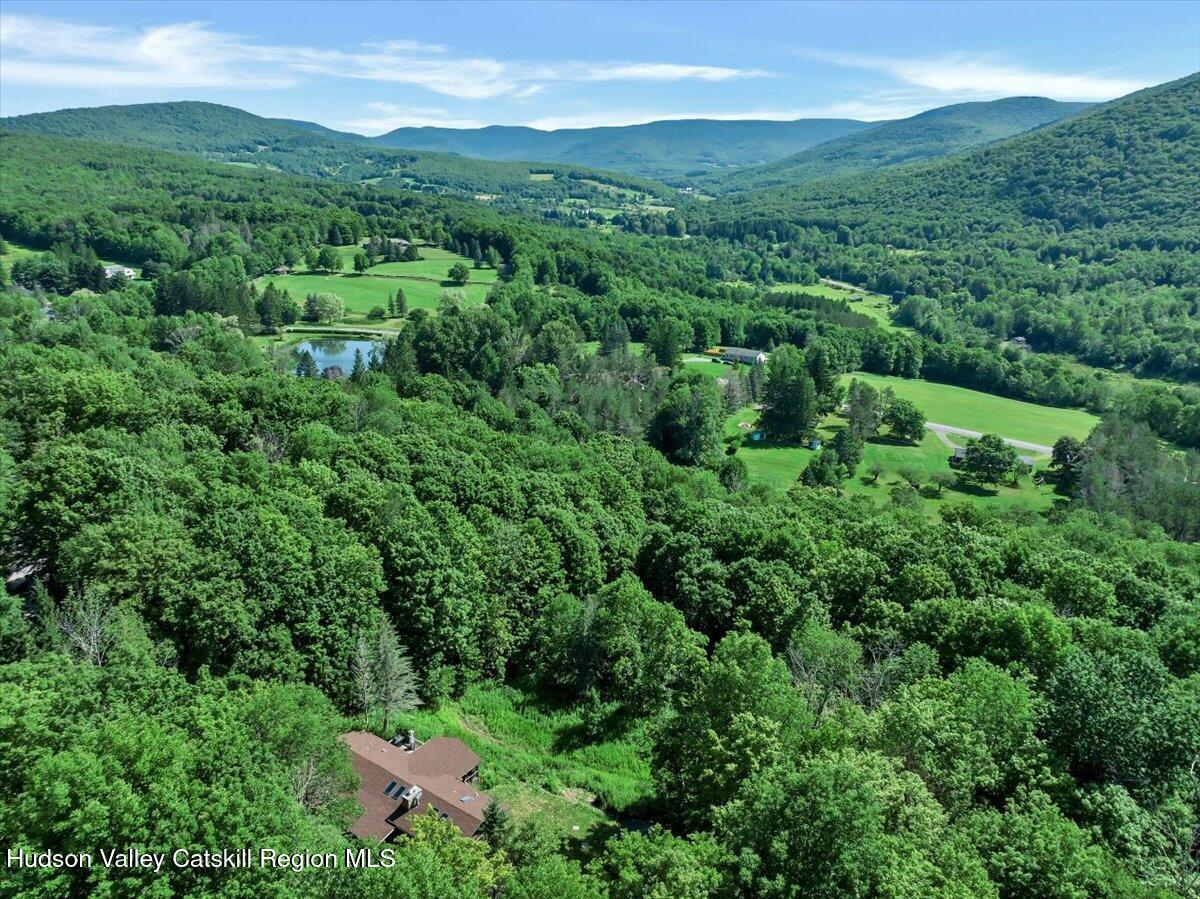 38 Woodchuck Road Roxbury, NY 12421 - Photo 32 of 32 a view of a lush green forest with trees in the background
