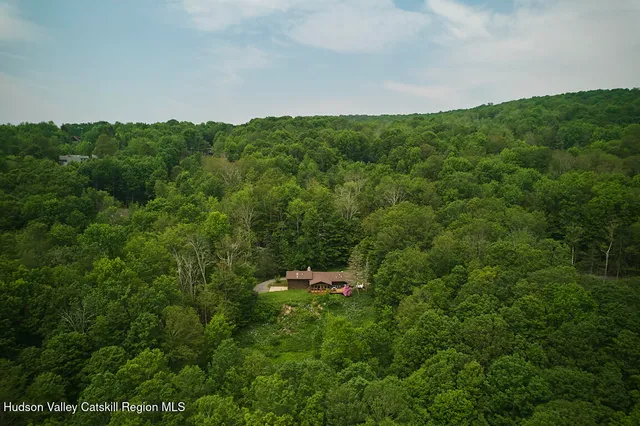 a view of a lush green field with lots of plants in it
