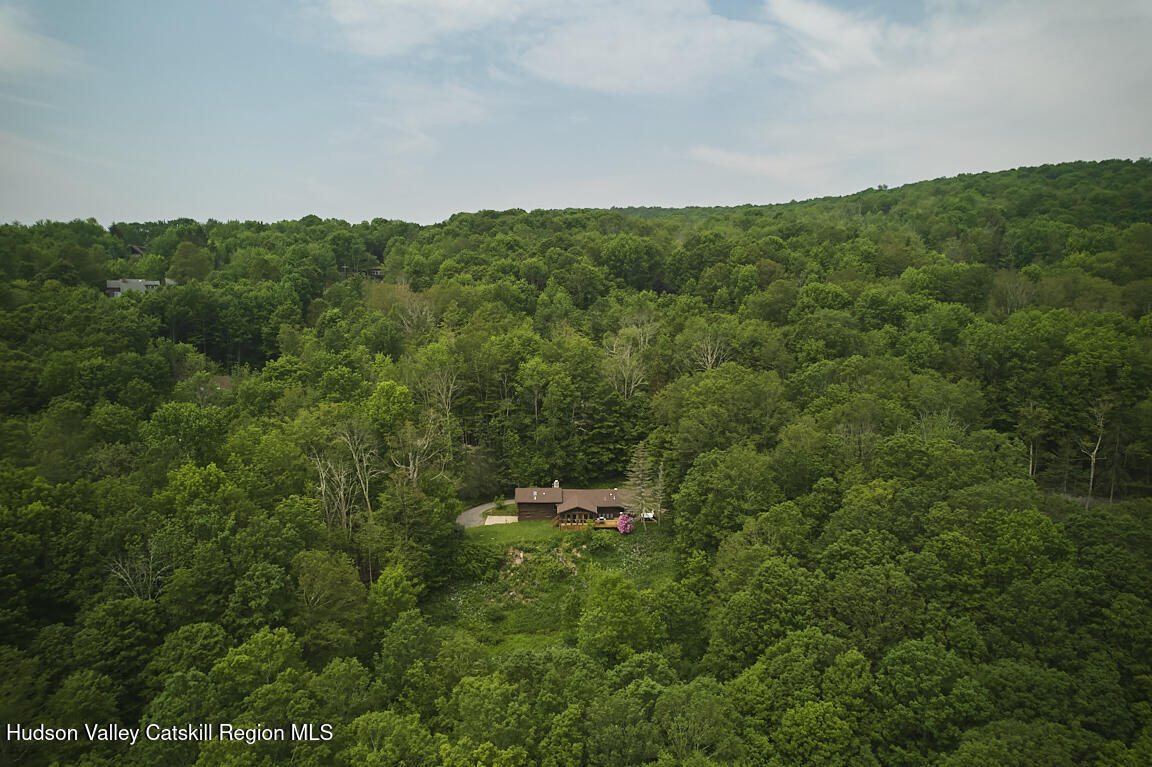 38 Woodchuck Road Roxbury, NY 12421 - Photo 10 of 33 a view of a lush green field with lots of plants in it
