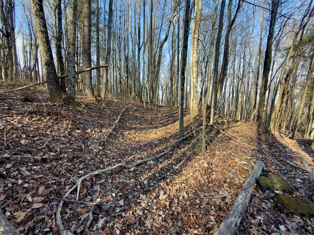Tbd Breezy Ridge Road, Unit PART 96A101 Woodlawn, VA 24381 - Photo 36 of 86 Gallery Image 36