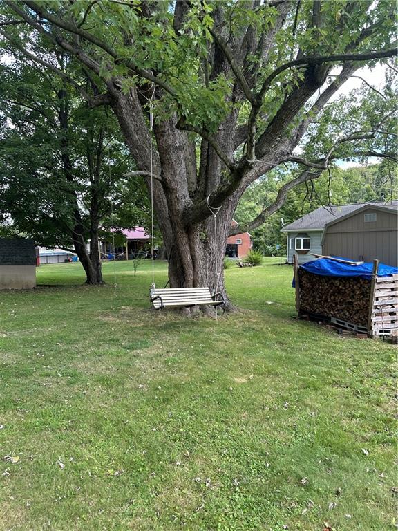 421 Finley Road Rostraver Township, PA 15012 - Photo 50 of 50 Tree swing