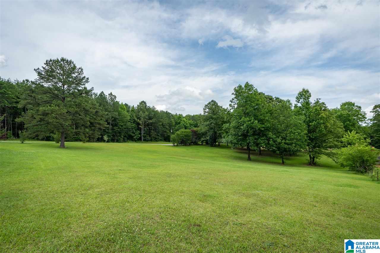 12363 Bama Rock Garden Road Vance, AL 35490 - Photo 7 of 48