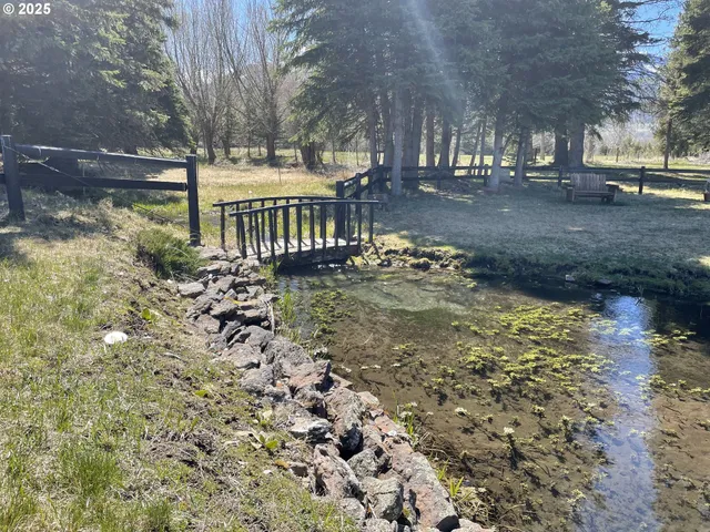 a view of a yard with plants and trees