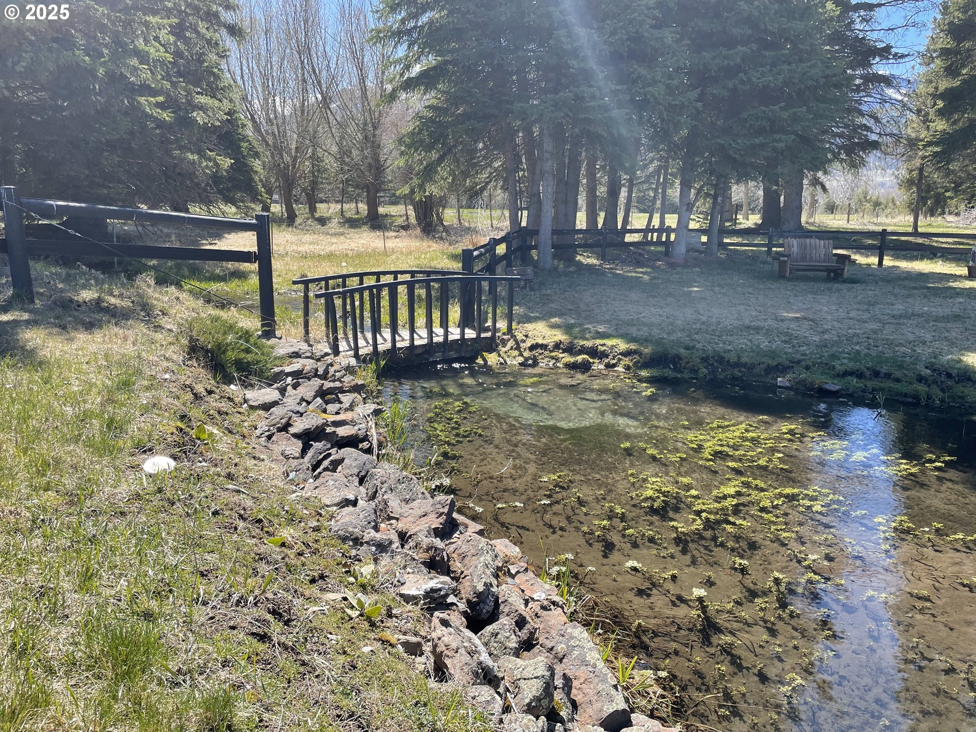 82952 Eggleson Lane Enterprise, OR 97828 - Photo 4 of 31 a view of a yard with plants and trees