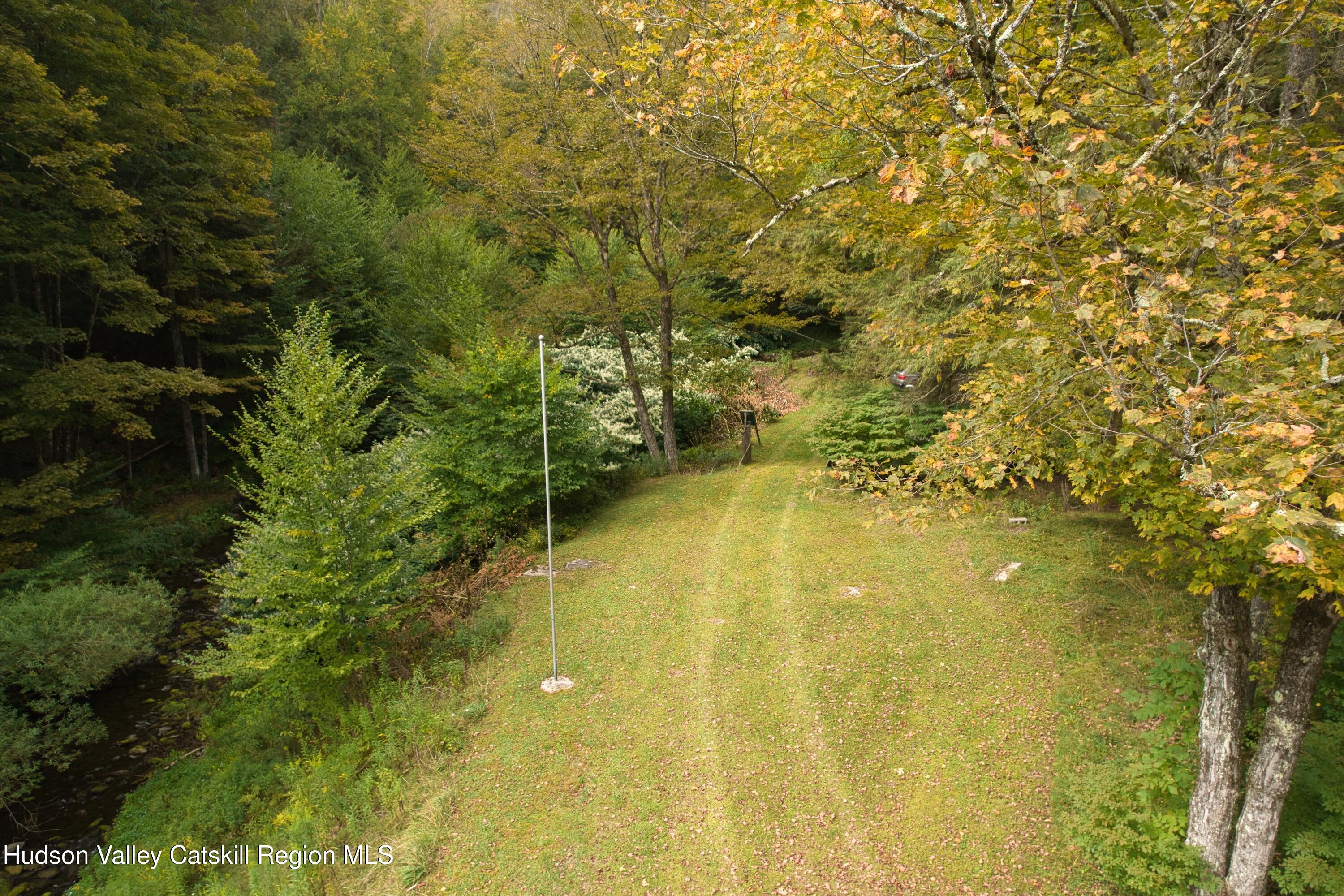175 Elm Hollow Road Livingston Manor, NY 12758 - Photo 5 of 28 a view of a yard