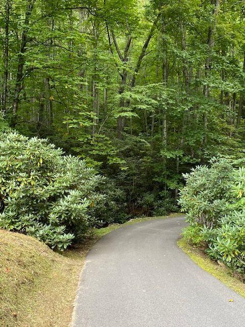 7027 Birchfield Road Wise, VA 24293 - Photo 11 of 61 Follow the shady lane