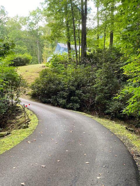 7027 Birchfield Road Wise, VA 24293 - Photo 12 of 61 Beautiful colors